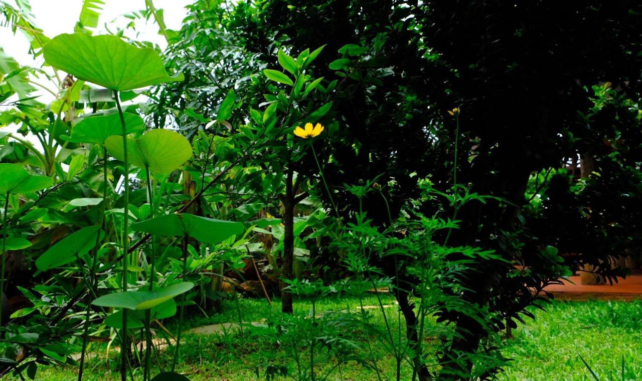 Plei Homestay&Café Pleiku Exterior foto
