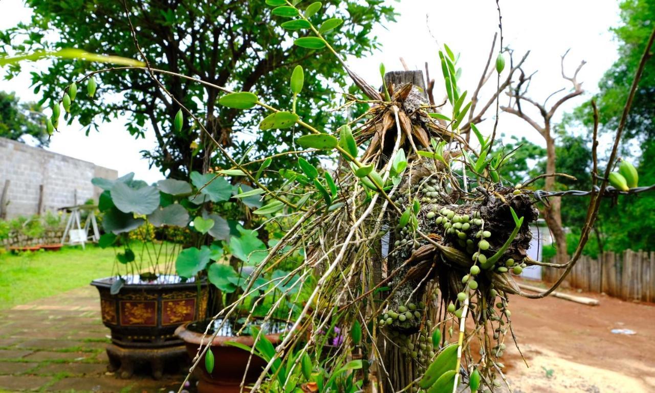 Plei Homestay&Café Pleiku Exterior foto